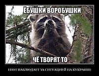 ЕНОТ НАБЛЮДАЕТ ЗА СИТУАЦИЕЙ НА КУКРАИНЕ 
