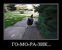 ГО-МО-РА-ЗИК... 