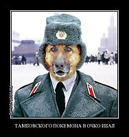 ТАМБОВСКОГО ПОКЕМОНА В ОЧКО ИБАЛ 