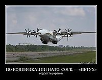 ПО КОДИФИКАЦИИ НАТО: COCK — «ПЕТУХ» гордость украины