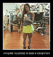 оторви задницу и иди в спортзал 
