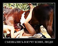 СМЕШАЛИСЬ В КУЧУ КОНИ, ЛЮДИ 