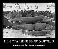 ПРИ СТАЛИНЕ БЫЛО ХОРОШО а при царе батюшке - охуенно