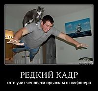 РЕДКИЙ КАДР котэ учит человека прыжкам с шифонера