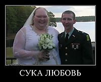 СУКА ЛЮБОВЬ 