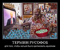 ТЕРМИН РУСОФОБ для того, чтобы нельзя было критиковать идиотизм