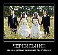 ЧЕРНИЛЬНИК
