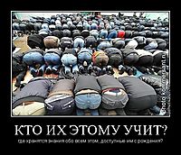КТО ИХ ЭТОМУ УЧИТ? где хранятся знания обо всем этом, доступные им с рождения?