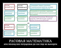 РАСОВАЯ МАТЕМАТИКА или почему все полукровки до сих пор не вымерли