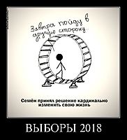 ВЫБОРЫ 2018 