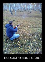 ПОГОДЫ ЧУДНЫЕ СТОЯТ 