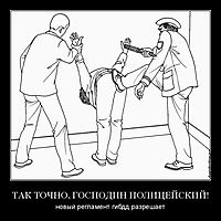 ТАК ТОЧНО, ГОСПОДИН ПОЛИЦЕЙСКИЙ! новый регламент гибдд разрешает