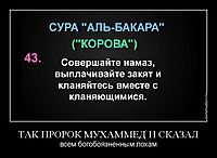 ТАК ПРОРОК МУХАММЕД И СКАЗАЛ всем богобоязненным лохам