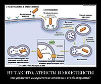 НУ ТАК ЧТО, АТЕИСТЫ И МОНОТЕИСТЫ кто управляет иммунитетом человека и кто бактериями?