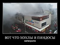 ВОТ ЧТО ХОХЛЫ И ПИНДОСЫ натворили