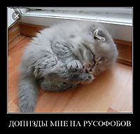 ДОПИЗДЫ МНЕ НА РУСОФОБОВ 