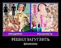 РЕШИЛ ЗАГУГЛИТЬ феминизм