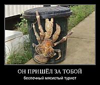 ОН ПРИШЁЛ ЗА ТОБОЙ беспечный мясистый турист
