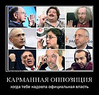 КАРМАННАЯ ОППОЗИЦИЯ когда тебе надоела официальная власть