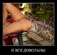И ВСЕ ДОВОЛЬНЫ 
