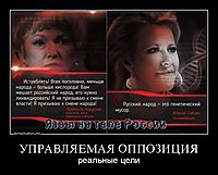 УПРАВЛЯЕМАЯ ОППОЗИЦИЯ реальные цели
