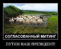 ПУТИН НАШ ПРЕЗИДЕНТ! 