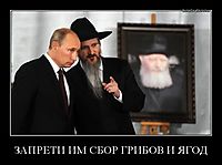 ЗАПРЕТИ ИМ СБОР ГРИБОВ И ЯГОД 