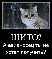 ЩИТО? А авианосец ты не хотел получить?