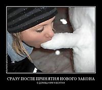 СРАЗУ ПОСЛЕ ПРИНЯТИЯ НОВОГО ЗАКОНА о домашнем насилии