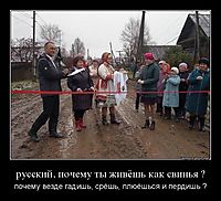 русский, почему ты живёшь как свинья ?