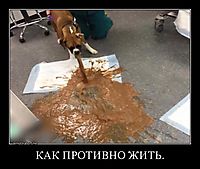 КАК ПРОТИВНО ЖИТЬ. 