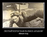 ЛЮТЫЙ ЮГОСЛАВ РАЗБИЛ АРАБОВ? ебаный стыд