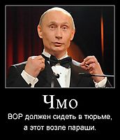 Чмо ВОР должен сидеть в тюрьме, а этот возле параши.