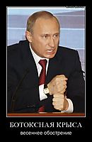 БОТОКСНАЯ КРЫСА весеннее обострение