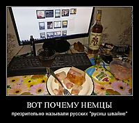 ВОТ ПОЧЕМУ НЕМЦЫ презрительно называли русских "русиш швайне"