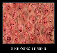 И НИ ОДНОЙ ЦЕЛКИ 