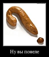 Ну вы понеле 