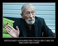 ИНТЕЛЛЕКТ ОБЕЗЬЯНЫ НИ СТЫДА НИ СОВЕСТИ седину нажил а ума не нажил