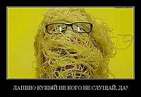 ЛАПШЮ КУШЯЙ НЕ КОГО НЕ СЛУЩАЙ, ДА? 