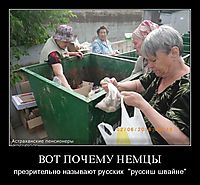 ВОТ ПОЧЕМУ НЕМЦЫ презрительно называют русских  "руссиш швайне"