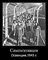 Самоизоляция Освенцим,1945 г.