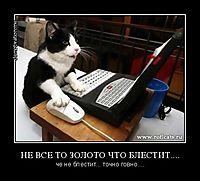 НЕ ВСЕ ТО ЗОЛОТО ЧТО БЛЕСТИТ.... че не блестит... точно говно....