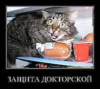 ЗАЩИТА ДОКТОРСКОЙ 