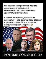 РУЧНЫЕ СОБАКИ США 