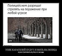 ЭТИХ КАРАТЕЛЕЙ БУДУТ ЛОВИТЬ НА ЖИВЦА и расстреливать в упор из засады