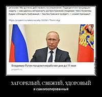 ЗАГОРЕЛЫЙ, СВЕЖИЙ, ЗДОРОВЫЙ и самоизолированный