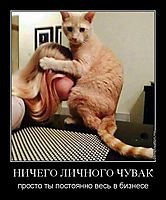 НИЧЕГО ЛИЧНОГО ЧУВАК просто ты постоянно весь в бизнесе