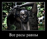 Все расы равны 