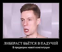 ЛИБЕРАСТ БЬЁТСЯ В ПАДУЧЕЙ В предверии новой конституции