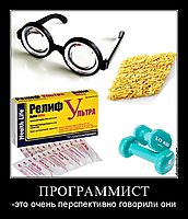 ПРОГРАММИСТ -это очень перспективно говорили они